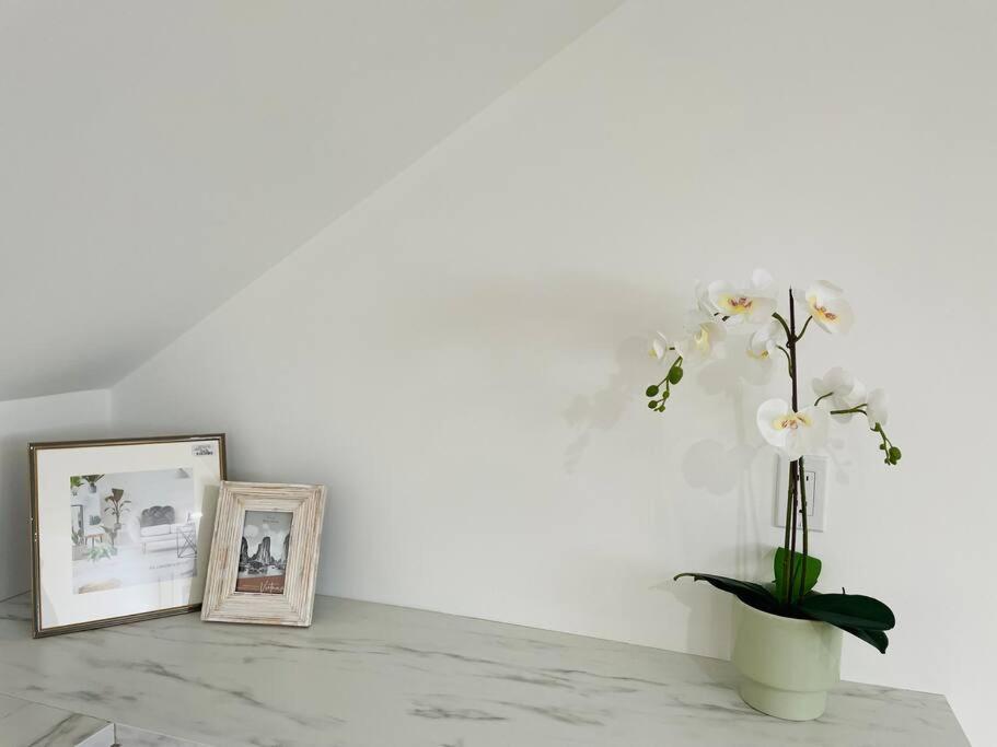 Stylish Cozy One Bedroom Studio With Free Parking Victoria Exteriör bild